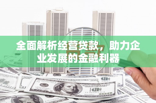 盐亭全面解析经营贷款，助力企业发展的金融利器