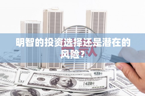盐亭明智的投资选择还是潜在的风险？