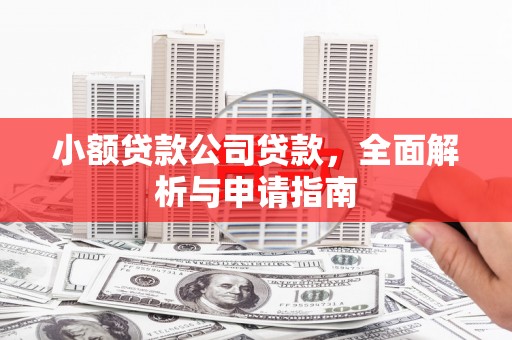 盐亭小额贷款公司贷款，全面解析与申请指南