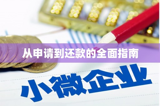 盐亭从申请到还款的全面指南