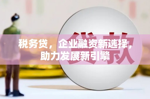 盐亭税务贷，企业融资新选择，助力发展新引擎