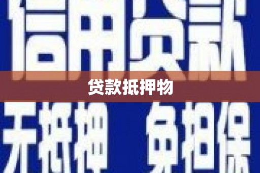 盐亭贷款抵押物