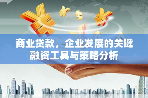 盐亭商业贷款，企业发展的关键融资工具与策略分析