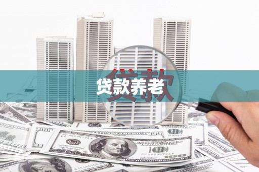盐亭贷款养老