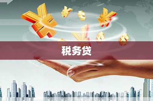 盐亭税务贷