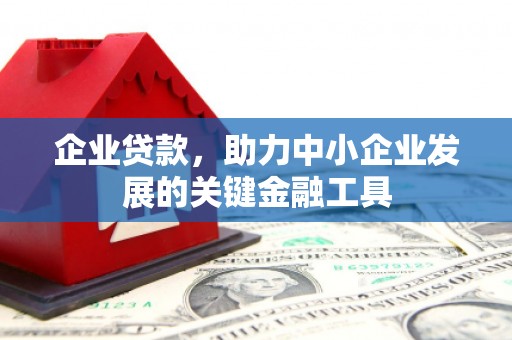 盐亭企业贷款，助力中小企业发展的关键金融工具