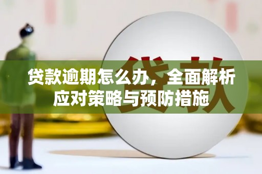 盐亭贷款逾期怎么办，全面解析应对策略与预防措施