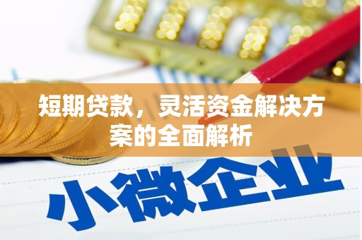 盐亭短期贷款，灵活资金解决方案的全面解析