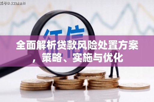 盐亭全面解析贷款风险处置方案，策略、实施与优化