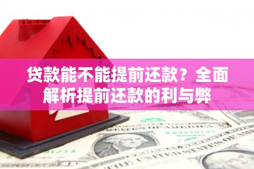 盐亭贷款能不能提前还款？全面解析提前还款的利与弊