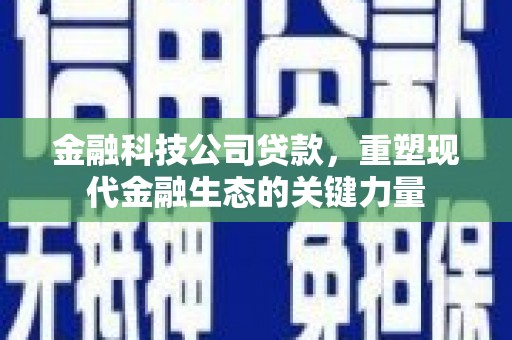 盐亭金融科技公司贷款，重塑现代金融生态的关键力量