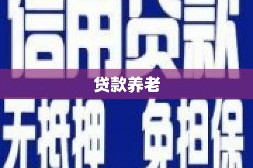盐亭贷款养老