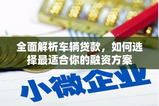 盐亭全面解析车辆贷款，如何选择最适合你的融资方案