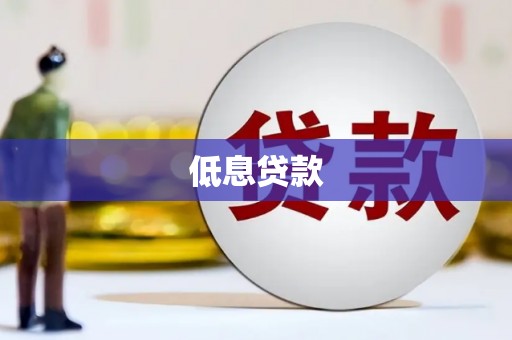 盐亭低息贷款