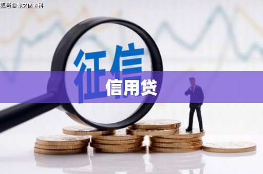 盐亭信用贷