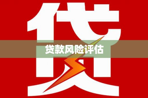 盐亭贷款风险评估