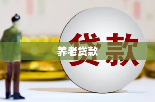 盐亭养老贷款