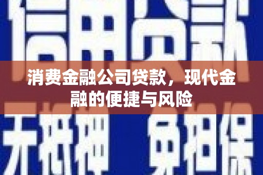 盐亭消费金融公司贷款，现代金融的便捷与风险