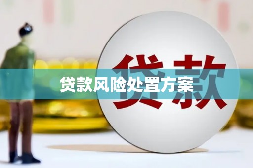 盐亭贷款风险处置方案