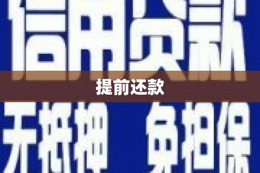 盐亭提前还款